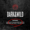 BTS 1ST ALBUM (DARK & WILD)